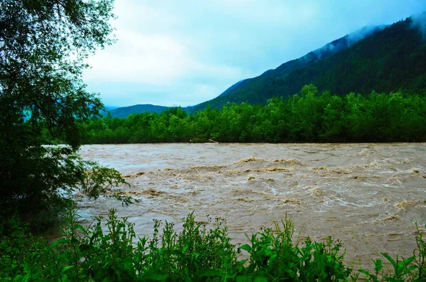 雨の後汚い川の電流 泥棒の概念 大雨の後 汚れた水で川の流れ 選択的焦点 — ストック写真