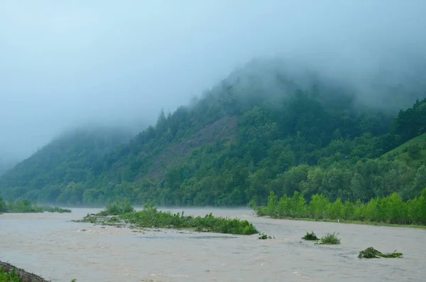 Dirty River Current Rain Mudslide Concept River Flow Dirty Water — Stock Photo, Image