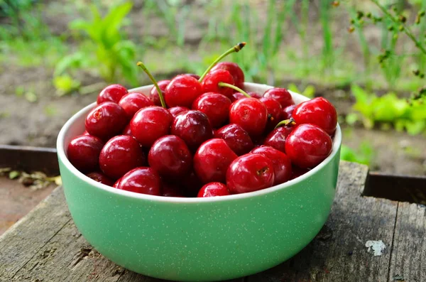 Red ripe cherries in a green plate in the garden — Stock Photo, Image