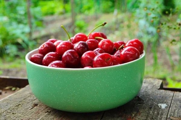 Red ripe cherries in a green plate in the garden — Stock Photo, Image