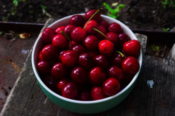 Red ripe cherries in a green plate in the garden — Stock Photo, Image