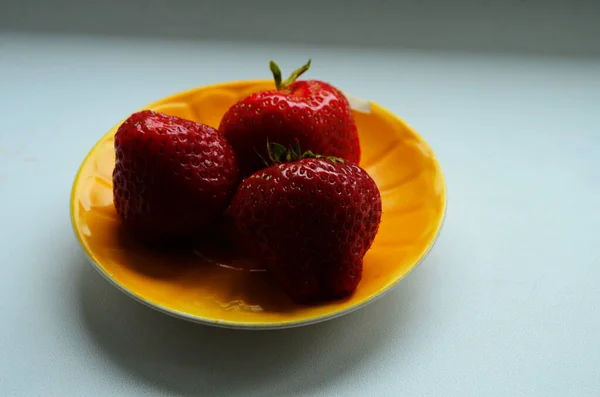 Harvesting Fresh Ripe Big Red Strawberry Fruit Dutch Greenhouse — Stock Photo, Image