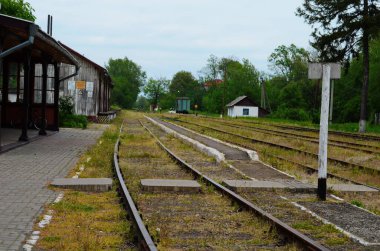 Ormandaki terk edilmiş bir demiryolunun terk edilmiş rayları.