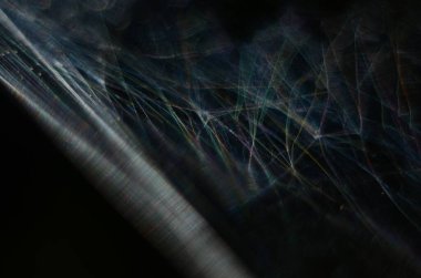 Gün doğumunda damlaları olan güzel bir örümcek ağı. Sabahın erken saatleri ve damla damla örümcek ağı. Eğilim mavisi rengi