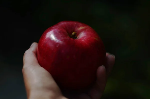 Mão Segurando Red Apple Perto — Fotografia de Stock