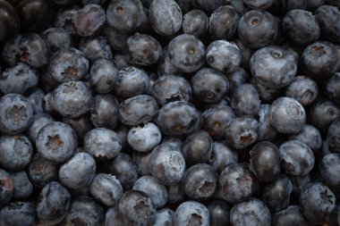 Tam kare ile taze toplayıp yaban mersini yakın çekim arka plan