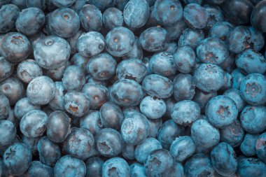 Taze yaban mersini arkaplanı. Doku yaban mersini yakından geliyor..