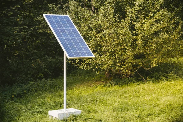 Solar battery standing in the green tall grass. Ecology and alte
