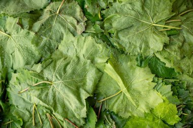 Cofte ruloiçin geaps yapraklar. Piyasa taze arka plan. Ramazan tr