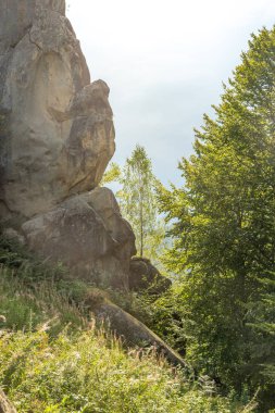 Güneşli dağlaryürüyüş görünümünde. Hint yaz konsepti. 