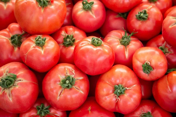 Tomat organik di pasar pertanian. Latar belakang dengan ruang salinan . — Stok Foto
