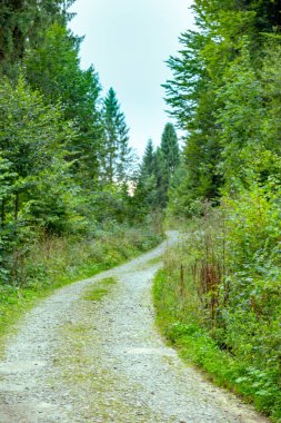 portre yöneliminde dağlarda ve ormanda yürüyüş raptiyesi.