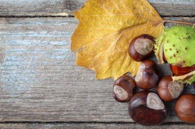 Sonbahar düz sarı yaprak, kestane ve t için kopya alanı ile yatıyordu