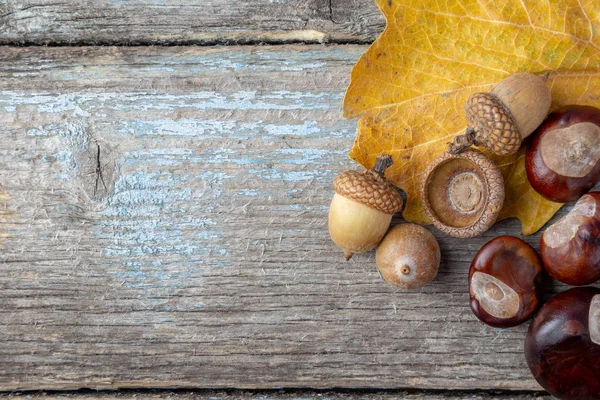 Autumn flat lay with wallnuts and chestnuts and copy space for t — Stock Photo, Image