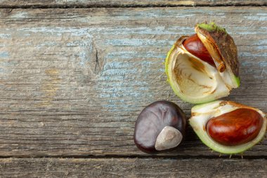 Sonbahar düz sarı yaprak, kestane ve kopyalama alanı ile yatıyordu 