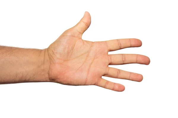 Hommes main affichant les cinq doigts tournés à l'intérieur . — Photo