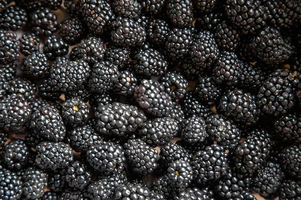 Primer plano de morera gigante. Fondos alimentarios serie . — Foto de Stock