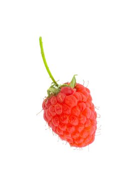 Beyaz arka planda izole edilmiş gerçek bir organik çiftlikten taze toplanmış ahududu. 