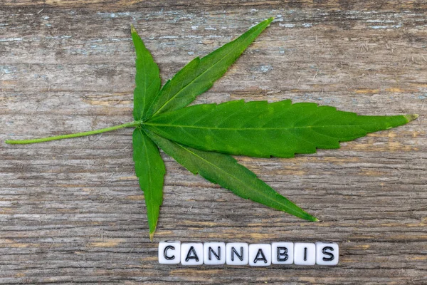 Hoja Cannabis Con Texto Inscripción Que Indica Palabra Cannabis Sobre — Foto de Stock