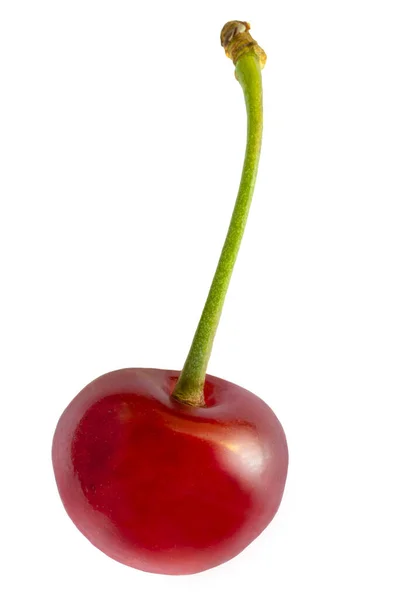 Cherry Dalam Detail Makro Ekstrim Terisolasi Latar Belakang Putih — Stok Foto