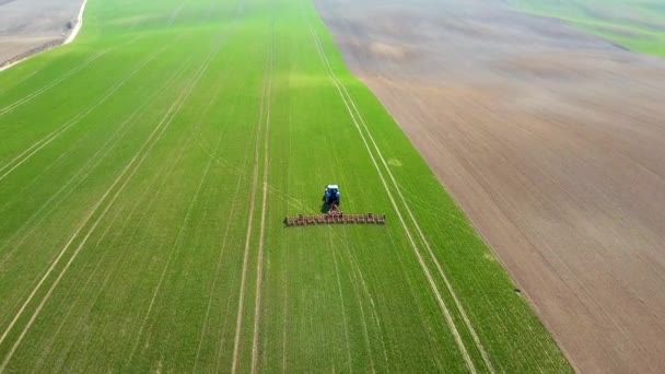 Tractor Con Gradas Prepara Tierra Agrícola Para Siembra Cultivos — Vídeo de stock