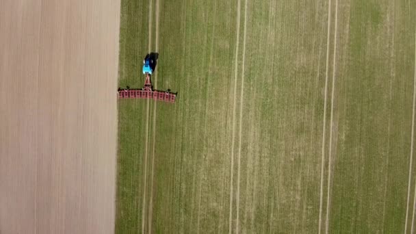 Trekker Met Eggen Bereidt Landbouwgrond Voor Aanplant Van Gewassen — Stockvideo