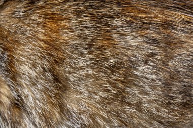 Kağıt ve kalem, mesajın için hazırlandı. Kavramlarınız için alanı kopyala.