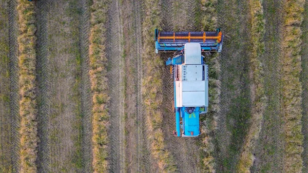 White Blue Harvester Top View While Harvesting Crops Agricultural Field — Stock Photo, Image