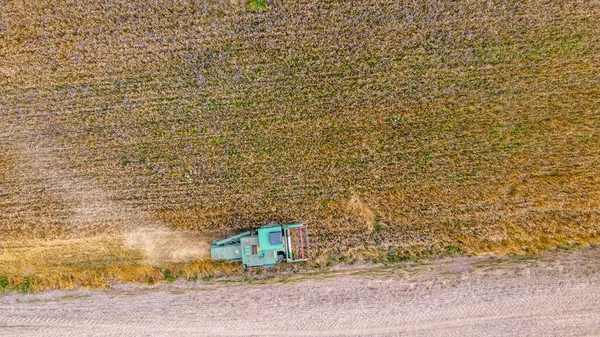 コピースペースのある農地で作物を収穫しながら 上の図で緑の収穫者 — ストック写真