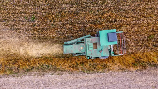 Green Harvester Top View While Harvesting Crops Agricultural Field Copy — Stock Photo, Image