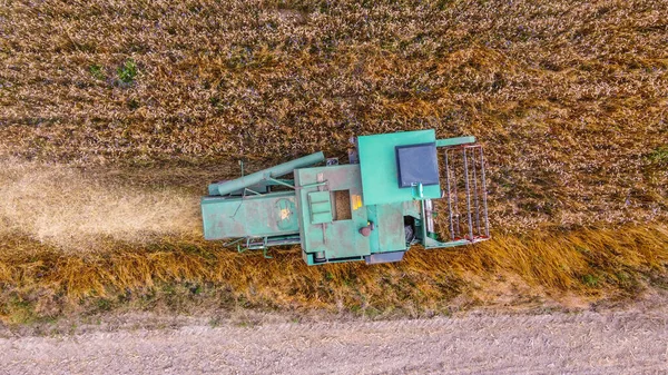 Πράσινη Θεριστική Μηχανή Κορυφαία Θέα Κατά Συγκομιδή Των Καλλιεργειών Ένα — Φωτογραφία Αρχείου