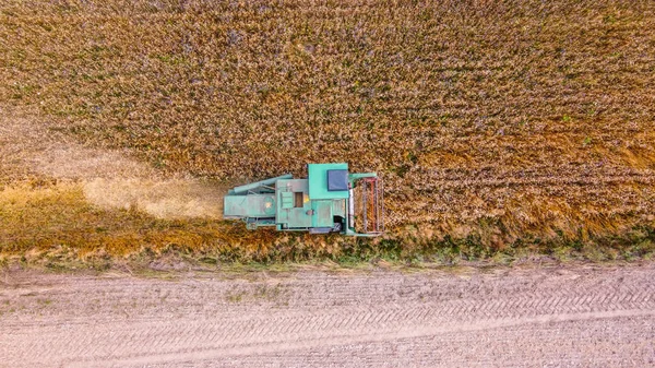 Green Harvester Top View While Harvesting Crops Agricultural Field Copy — Stock Photo, Image