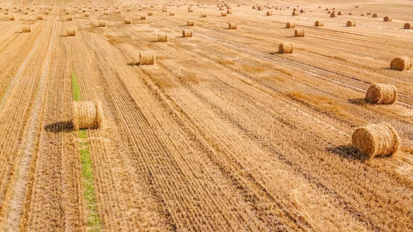Luftaufnahme Eines Weiten Landwirtschaftlichen Feldes Mit Vielen Strohballen Darauf Ernte — Stockfoto