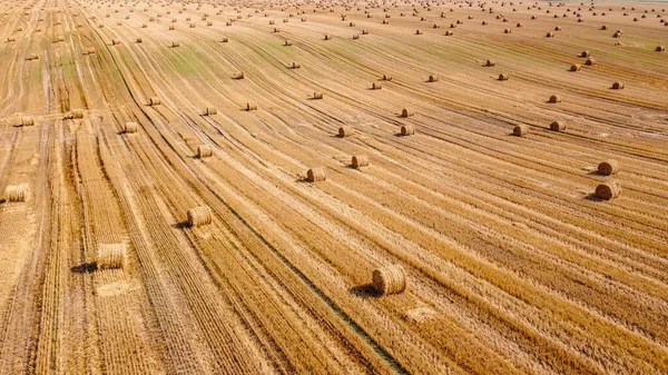 Vue Aérienne Sur Vaste Champ Agricole Recouvert Nombreuses Balles Paille — Photo