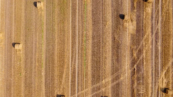広い農地での空中風景の中に藁の玉がたくさん — ストック写真