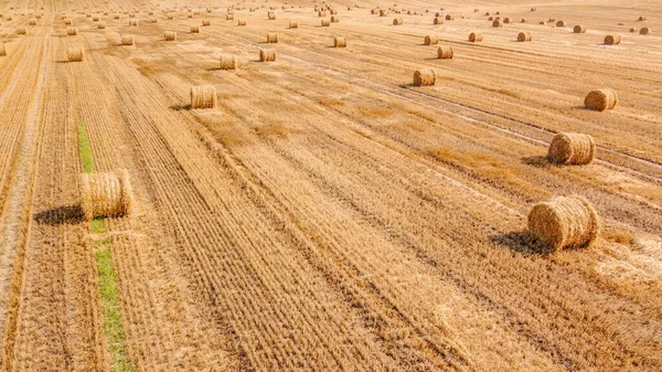 Vista Aérea Campo Agrícola Largo Com Muitos Fardos Palha Sobre — Fotografia de Stock