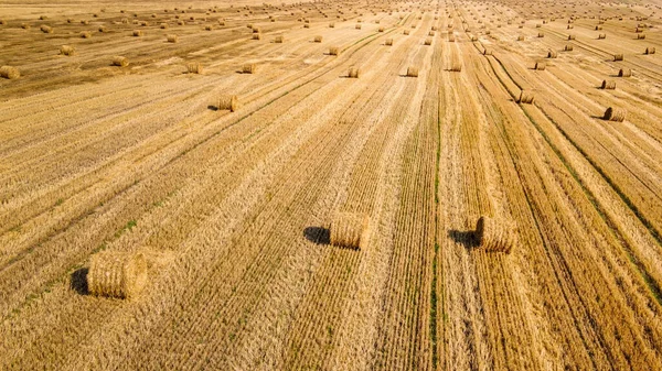 Luftaufnahme Eines Weiten Landwirtschaftlichen Feldes Mit Vielen Strohballen Darauf — Stockfoto