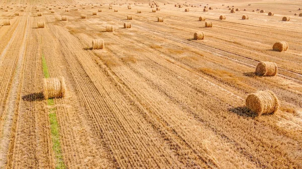 Vista Aérea Amplio Campo Agrícola Con Muchos Fardos Paja —  Fotos de Stock