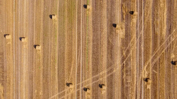 Luftaufnahme Eines Weiten Landwirtschaftlichen Feldes Mit Vielen Strohballen Darauf — Stockfoto