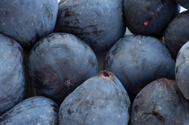 Taze incir çiftliği geçmişi. Makro, olgun çiftlik incirlerine yaklaş.