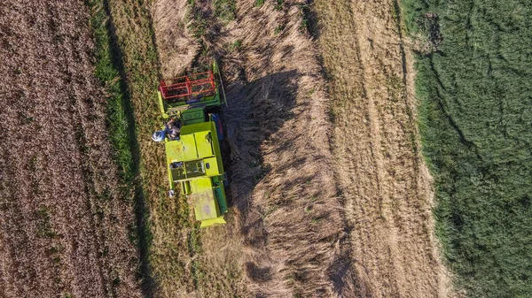 コピースペース付きの農地で作物を収穫しながら 上のビューで緑の色の収穫者 — ストック写真