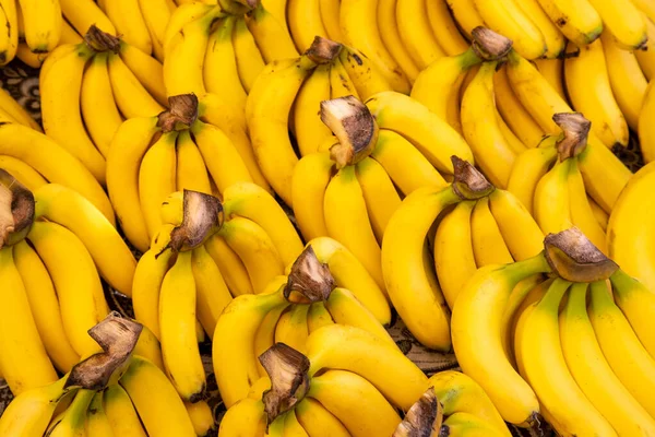 Fondo Plátano Puesta Mercado Primer Plano Granja Plátanos Orgánicos Frescos —  Fotos de Stock