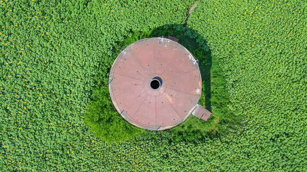 Rusty Vloeibare Container Het Midden Van Een Zonnebloem Landbouwgebied Perspectief — Stockfoto