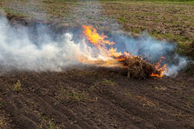 Kırp ve yak tarımı ya da sakal yakma. Toprağı sürdükten sonra ot kalıntılarından kurtulmak için tarımsal bir tarlada yangın çıktı.