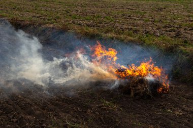 Kırp ve yak tarımı ya da sakal yakma. Toprağı sürdükten sonra ot kalıntılarından kurtulmak için tarımsal bir tarlada yangın çıktı.