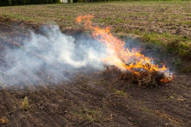 Kırp ve yak tarımı ya da sakal yakma. Toprağı sürdükten sonra ot kalıntılarından kurtulmak için tarımsal bir tarlada yangın çıktı.