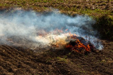 Kırp ve yak tarımı ya da sakal yakma. Toprağı sürdükten sonra ot kalıntılarından kurtulmak için tarımsal bir tarlada yangın çıktı.