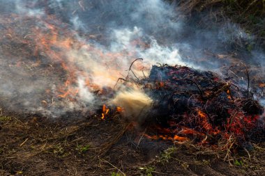 Kırp ve yak tarımı ya da sakal yakma. Toprağı sürdükten sonra ot kalıntılarından kurtulmak için tarımsal bir tarlada yangın çıktı.