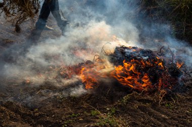 Kırp ve yak tarımı ya da sakal yakma. Toprağı sürdükten sonra ot kalıntılarından kurtulmak için tarımsal bir tarlada yangın çıktı.