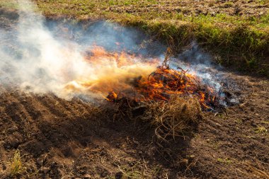 Kırp ve yak tarımı ya da sakal yakma. Toprağı sürdükten sonra ot kalıntılarından kurtulmak için tarımsal bir tarlada yangın çıktı.